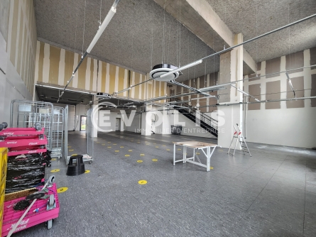 Photo 2 – location Entrepôts / activités	LYON (69007)