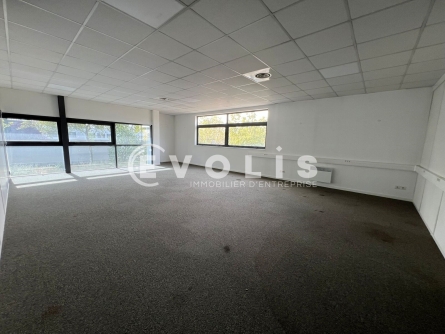Photo 5 – location Entrepôts / activités	DECINES CHARPIEU (69150)