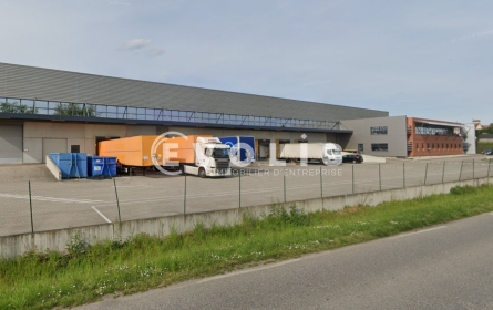 Photo 6 – location Entrepôts / activités	MIRIBEL (01700)