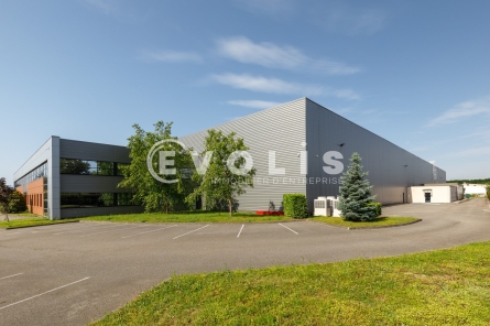 Photo 3 – location Entrepôts / activités	MIRIBEL (01700)