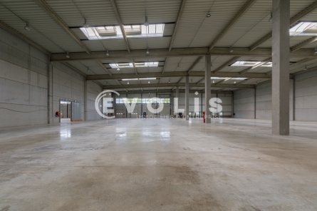 Photo 13 – location Entrepôts / activités	MIRIBEL (01700)
