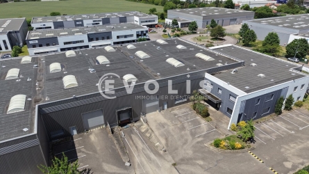 Photo 6 – location Entrepôts / activités	SAINT PRIEST (69800)