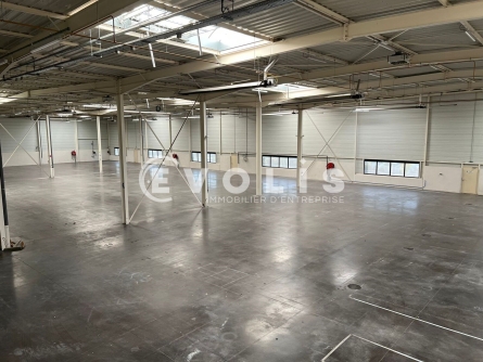 Photo 8 – location Entrepôts / activités	SAINT PRIEST (69800)