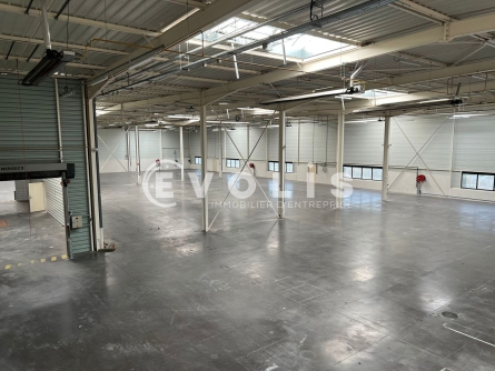 Photo 14 – location Entrepôts / activités	SAINT PRIEST (69800)