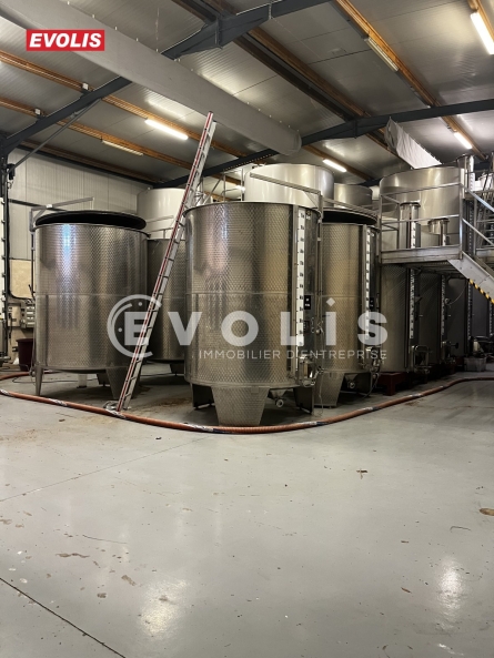 Photo 9 – vente Entrepôts / activités	PIOLENC (84420)