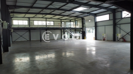 Photo 4 – location Entrepôts / activités	VEDENE (84270)