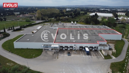 Photo 1 – location Entrepôts / activités	CHATEAURENARD (13160)