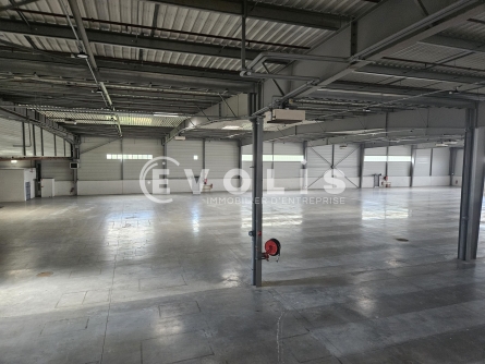 Photo 6 – location Entrepôts / activités	WISSOUS (91320)