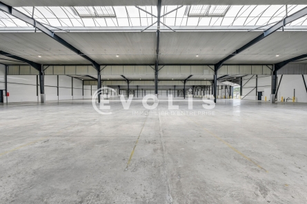 Photo 6 – location Entrepôts / activités	GOUSSAINVILLE (95190)