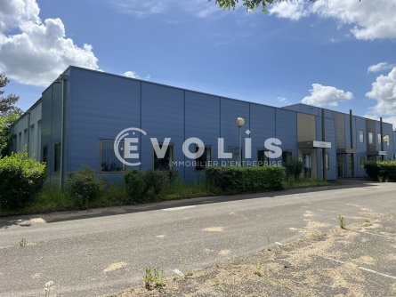 Photo 6 – location Entrepôts / activités	BLYES (01150)