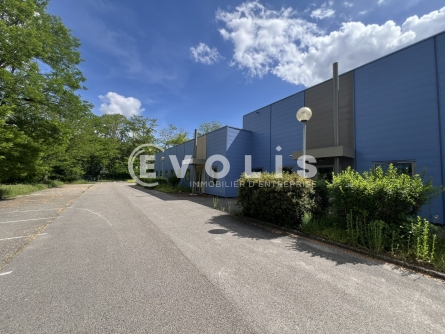 Photo 5 – location Entrepôts / activités	BLYES (01150)