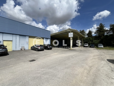 Photo 8 – location Entrepôts / activités	BLYES (01150)