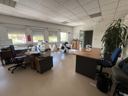 Photo 13 – location Entrepôts / activités	SAINT PRIEST (69800)