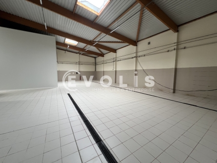 Photo 10 – location Entrepôts / activités	DECINES CHARPIEU (69150)