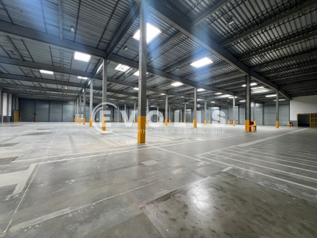 Photo 5 – location Entrepôts / activités	SAINT QUENTIN FALLAVIER (38070)