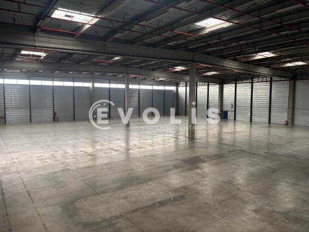 Photo 12 – location Entrepôts / activités	MIONS (69780)