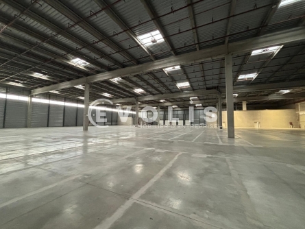 Photo 6 – location Entrepôts / activités	MIONS (69780)