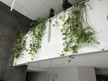 Photo 7 – location bureaux	PESSAC (33600)