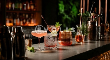 Photo 2 – location Locaux commerciaux	TALENCE (33400)