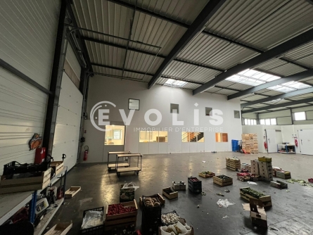 Photo 6 – location Entrepôts / activités	SAINT PRIEST (69800)