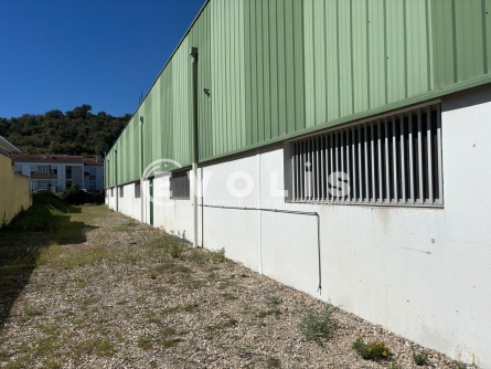 Photo 2 – location Entrepôts / activités	LOIRE SUR RHONE (69700)