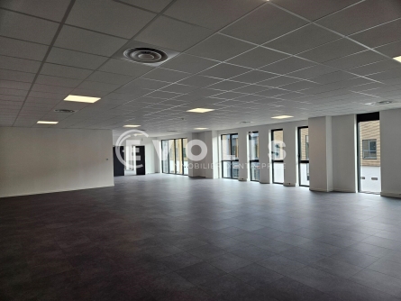 Photo 8 – location Entrepôts / activités	WISSOUS (91320)