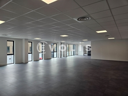 Photo 9 – location Entrepôts / activités	WISSOUS (91320)