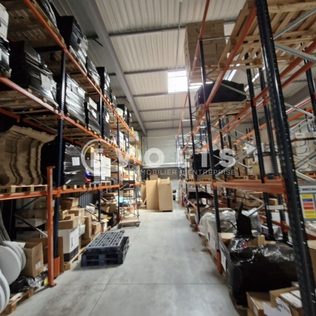 Photo 12 – location Entrepôts / activités	LISSES (91090)
