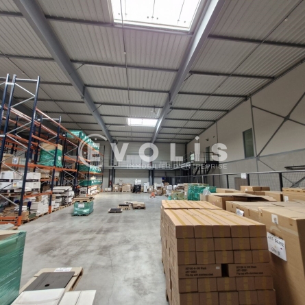 Photo 9 – location Entrepôts / activités	LISSES (91090)