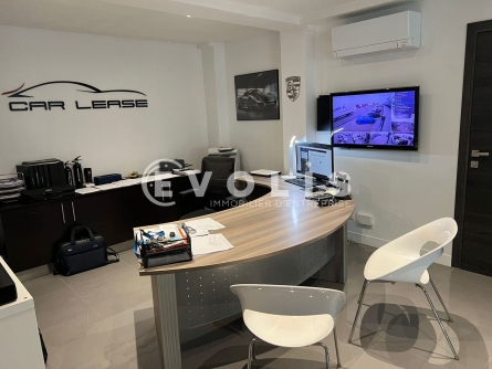 Photo 9 – location Entrepôts / activités	DECINES CHARPIEU (69150)