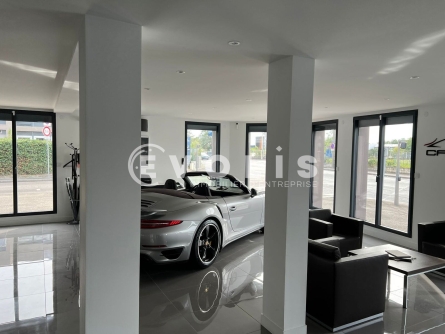 Photo 10 – location Entrepôts / activités	DECINES CHARPIEU (69150)