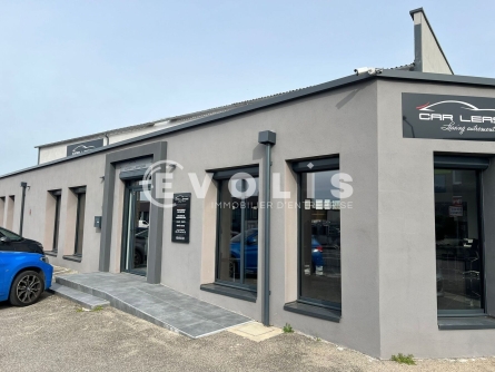 Photo 13 – location Entrepôts / activités	DECINES CHARPIEU (69150)