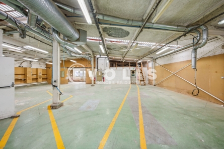 Photo 2 – location Entrepôts / activités	VERRIERES LE BUISSON (91370)