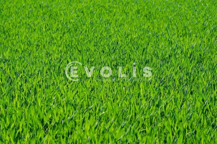 Photo 4 – vente Terrains	AUDENGE (33980)