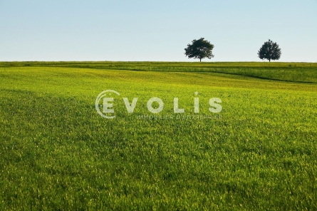 Photo 2 – vente Terrains	AUDENGE (33980)