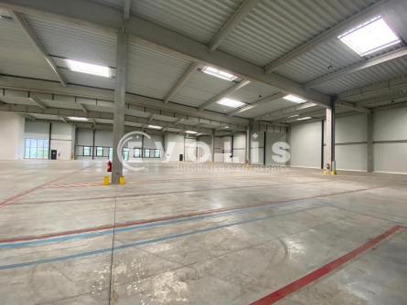 Photo 3 – location Entrepôts / activités	SUCY EN BRIE (94370)