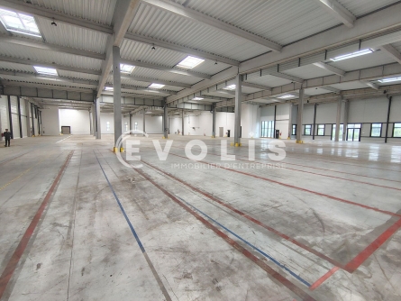 Photo 4 – location Entrepôts / activités	SUCY EN BRIE (94370)