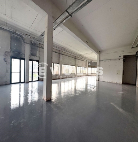 Photo 6 – location Entrepôts / activités	ANTONY (92160)