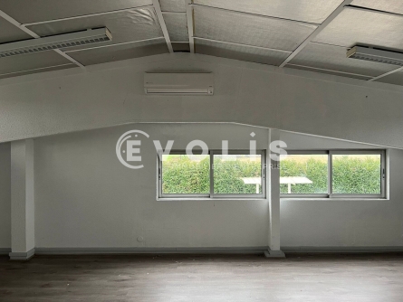 Photo 12 – location Entrepôts / activités	SAINT TRIVIER SUR MOIGNANS (01990)