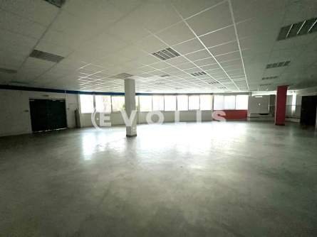 Photo 11 – location Entrepôts / activités	LE HAILLAN (33185)