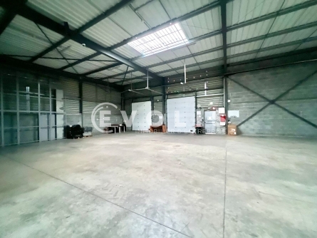 Photo 6 – location Entrepôts / activités	LE HAILLAN (33185)