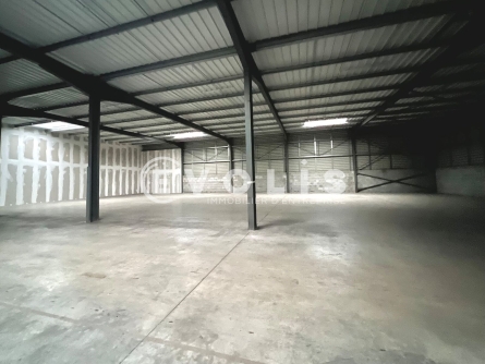 Photo 5 – location Entrepôts / activités	LE HAILLAN (33185)