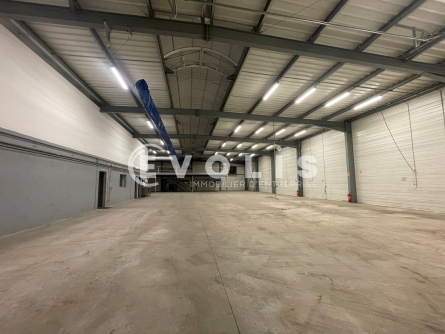 Photo 5 – location Entrepôts / activités	SAINT MEDARD EN JALLES (33160)