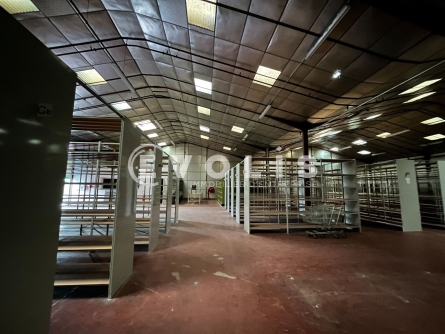 Photo 2 – location Entrepôts / activités	VILLENAVE D'ORNON (33140)