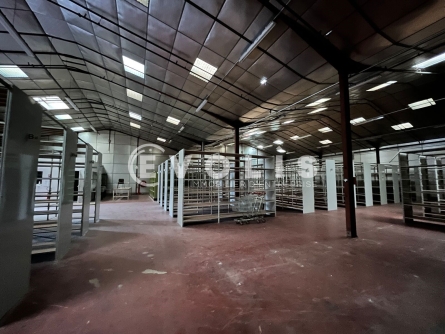 Photo 1 – location Entrepôts / activités	VILLENAVE D'ORNON (33140)