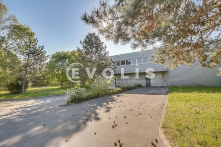 Photo 5 – location Entrepôts / activités	EVRY COURCOURONNES (91080)