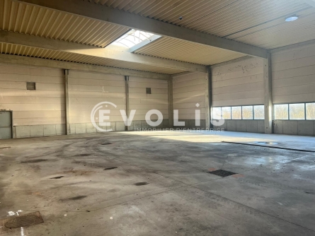 Photo 12 – vente Entrepôts / activités	BLYES (01150)