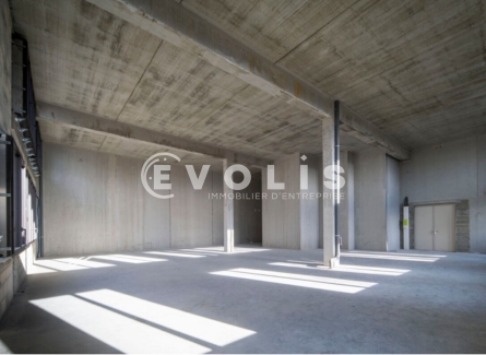 Photo 4 – location Locaux commerciaux	BRUGES (33520)