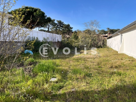 Photo 2 – location Locaux commerciaux	LEGE CAP FERRET (33950)