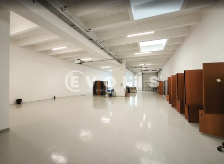 Photo 1 – location Entrepôts / activités	RUNGIS (94150)